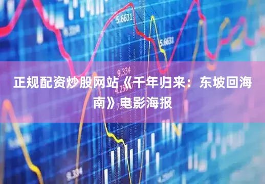 正规配资炒股网站《千年归来：东坡回海南》电影海报