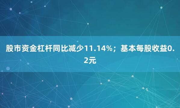 股市资金杠杆同比减少11.14%；基本每股收益0.2元