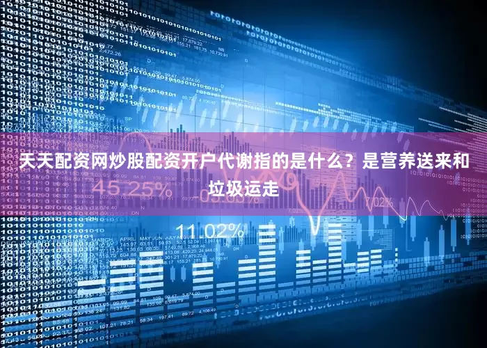 天天配资网炒股配资开户代谢指的是什么？是营养送来和垃圾运走